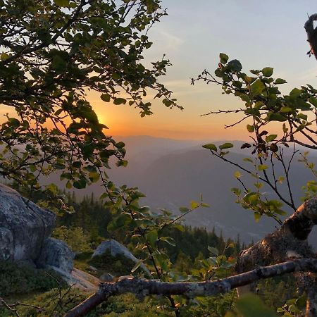 Dalen I Telemark Holiday Home With Garden エクステリア 写真