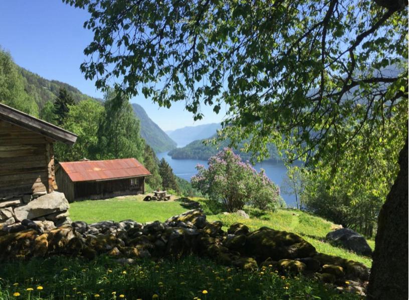 Dalen I Telemark Holiday Home With Garden エクステリア 写真