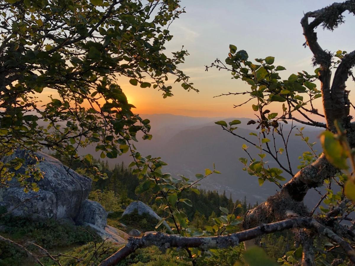 Dalen I Telemark Holiday Home With Garden エクステリア 写真
