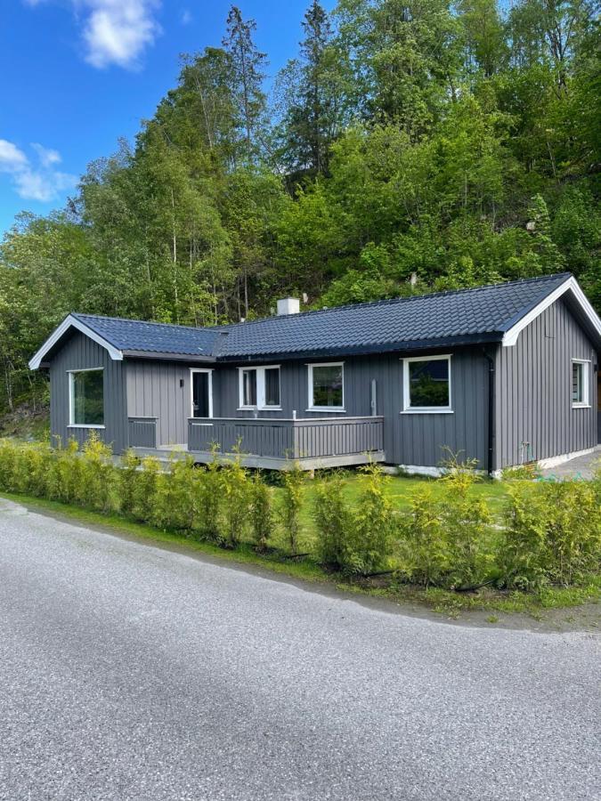 Dalen I Telemark Holiday Home With Garden エクステリア 写真